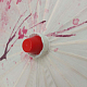 photo-2932620
