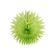 photo-2990757